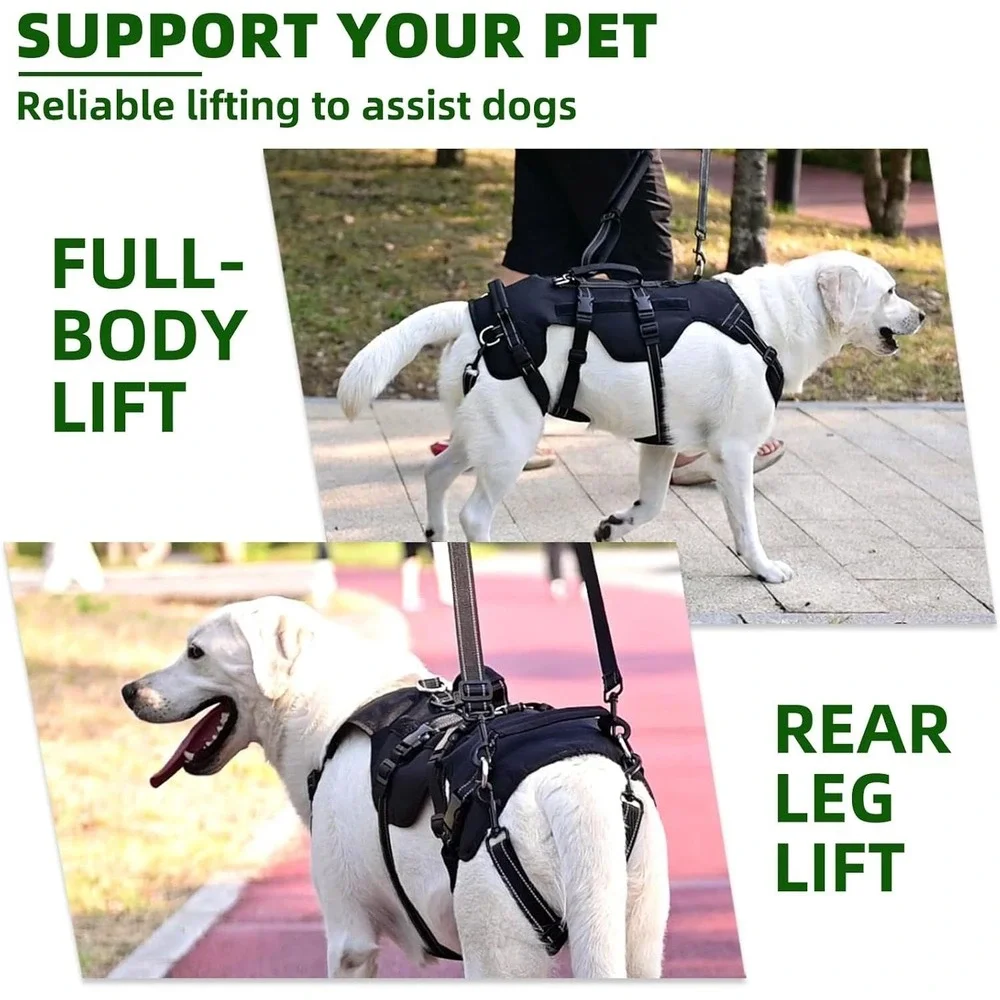 PUPTECK Mobility Support Harness for Medium‎ Large Dog Hind Leg Injury Aid